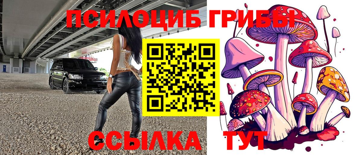 Псилоцибиновые грибы мухоморы  Галлюциногенные грибы GOLDEN TEACHER  Вход с VPN  Кувандык 